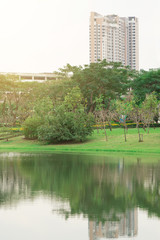 Obraz premium Pond in the public park with beautiful nature and building at Bangkok.