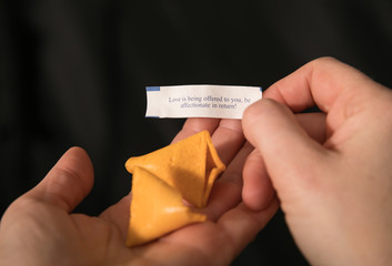 fortune cookie says: love is being offered to you