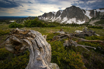 Medicine Bow Peak
