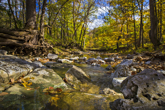 Connor Creek in Fall