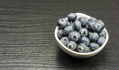 Vaccinium corymbosum L.