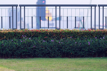 bush and fence in garden on rooftop of high-rise condominium in city at twilight