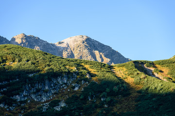 slovakian carpathian mountains in autumn. sunny hill tops in summer at sunrise