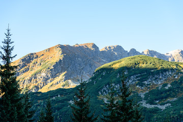 Obraz premium slovakian carpathian mountains in autumn. sunny hill tops in summer at sunrise