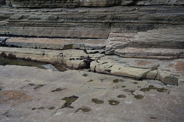 sangjog-am Dinosaur footprint fossil