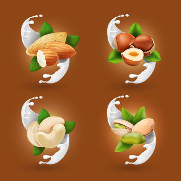 Nut collection realistic in milk splash or ice cream. Hazelnut, pistachio, almond, cashew