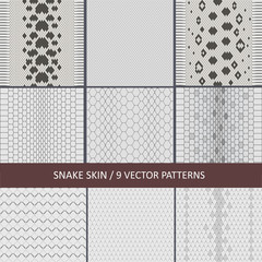 set of vector graphic snake skin textures