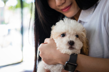 woman holding adorable dogt. female teenager with pet at home. people, animal, lifestyle concept