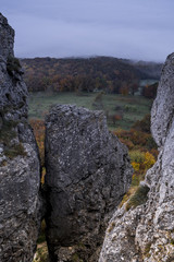 autumn morning in germany