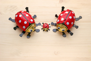 small family of chocolate ladybugs