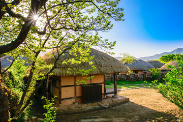 Fototapeta na wymiar Naganeupseong Folk Village is bright green in the early morning of spring