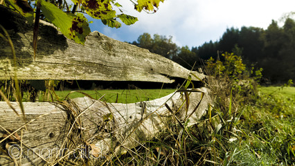 Autumn color explosion