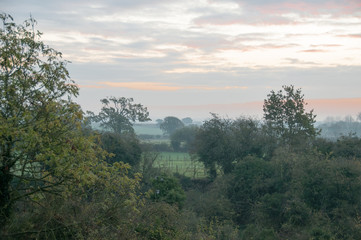 Woodland Field View 