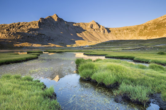 Lignin Images – Browse 1,598 Stock Photos, Vectors, and Video | Adobe Stock