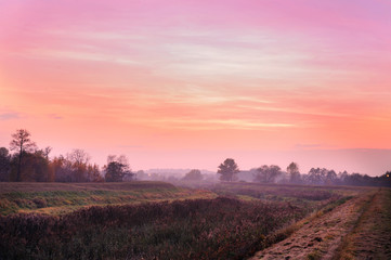 Scenic landscapes of agricultural meadow in dusk light.