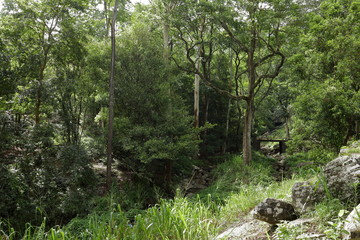 Fototapeta premium Landschaft in der Knuckles Range bei Kandy in Sri Lanka