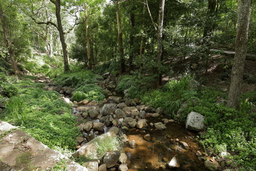 Fototapeta premium Landschaft in der Knuckles Range bei Kandy in Sri Lanka
