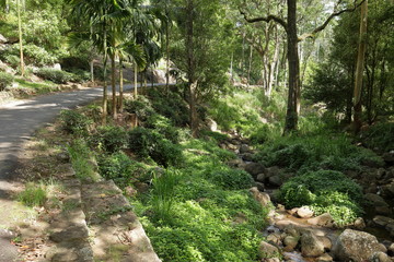 Fototapeta premium Landschaft in der Knuckles Range bei Kandy in Sri Lanka