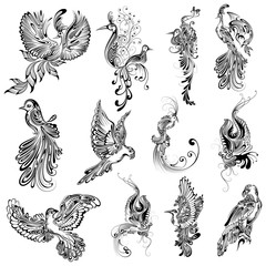 Tattoo art design of Bird collection © vectomart