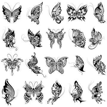Tattoo art design of Butterfly collection