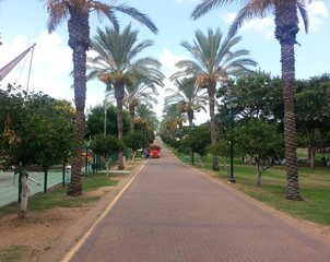 Fototapeta premium The Raanana Park