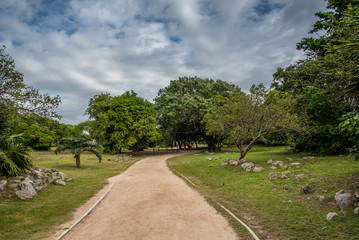 Ancient Mayan Pathway 