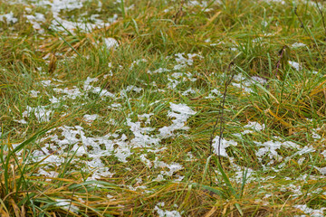 remnants of snow, frost on the green grass