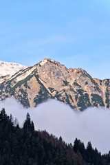the alpine mountain peak rises above the clouds and pine forest, blue sky in the background, vertical landscape