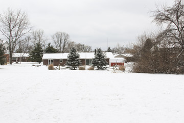 The freshly fallen snow on the backyard landscape.