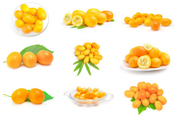 Group of kumquats on a white background