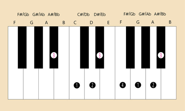 Bb major scale fingering for piano to use with every application