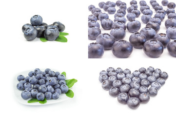 Collage of blueberry over a white background