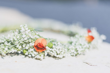 Search Photos Gypsophile