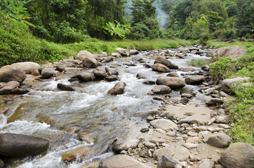 The stream flows through the rocks.