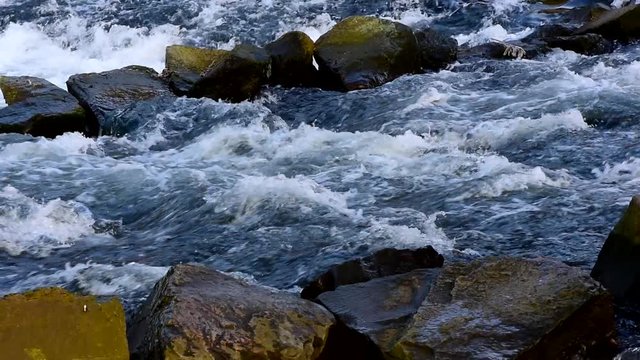 Wehr in der Wupper