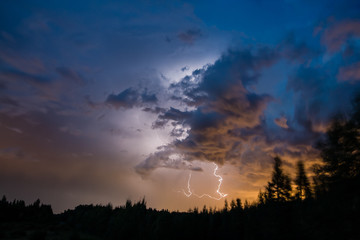 Fototapeta na wymiar Lightning strike over the forest