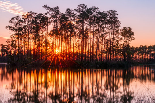Sunset in the everglades of florida