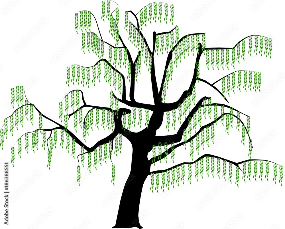 Wall mural vector image of a tree in spring