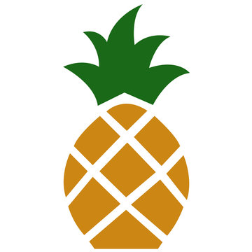 Raw pineapple vector
