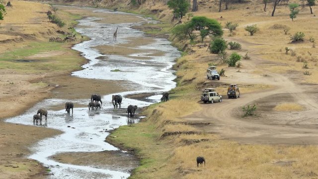 Panorama of Tarangire river bed