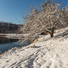 Irvington Woods, New York