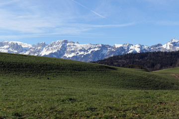 Fototapeta na wymiar Blick auf die Schweizer Berge (Walgau)