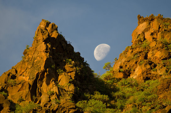 Moon over a cliff at dawn. Barranco de Guayadeque Natural Monument. Agüimes. Gran Canaria. Canary Islands. Spain.