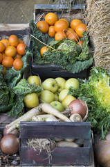 Recolecta de fruta y verdura.
Muestra de la recolecta del campo para su venta.
