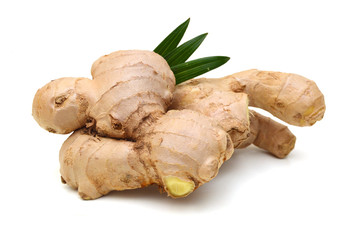 Fresh ginger root or rhizome isolated on white background cutout