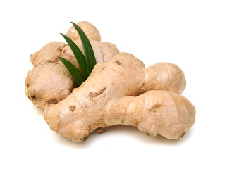 Fresh ginger root or rhizome isolated on white background cutout