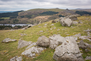 Fototapeta na wymiar Tors of Dartmoor