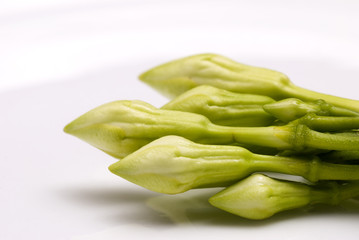 Organic food flower of Loroco. Guatemala. Fernaldia pandurata.