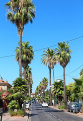 Fototapeta premium Hyères - France - Avenue Beauregard