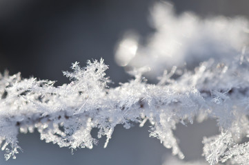 霜の結晶